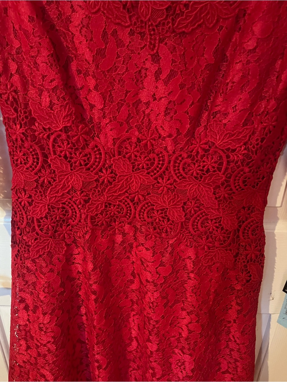 NWT Antonio Melani Red Lace Fit & Flare Dress Size 6 - Picture 5 of 8